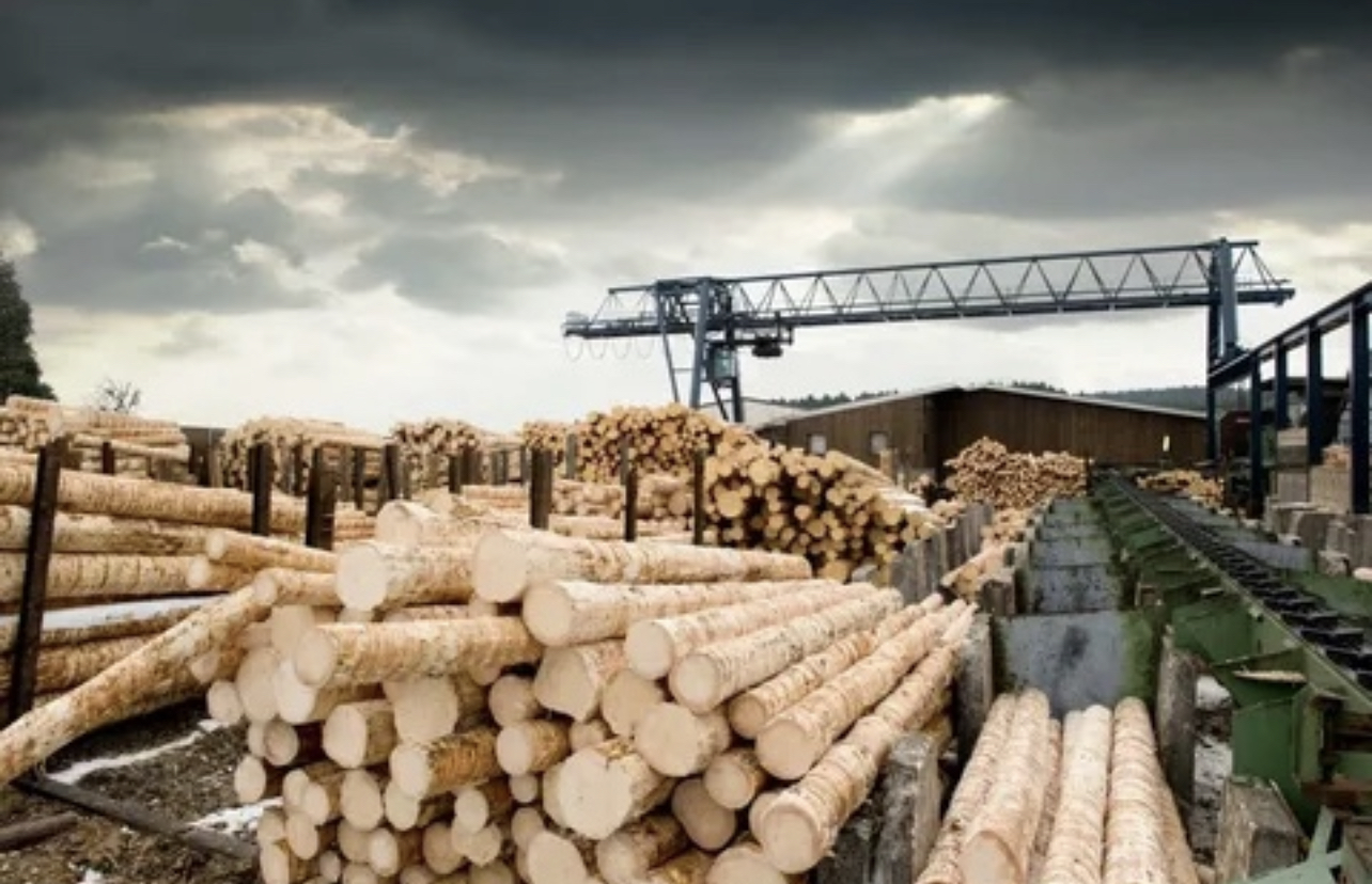 Компания Conifex Timber снизит объемы производства на лесопильном заводе в Маккензи