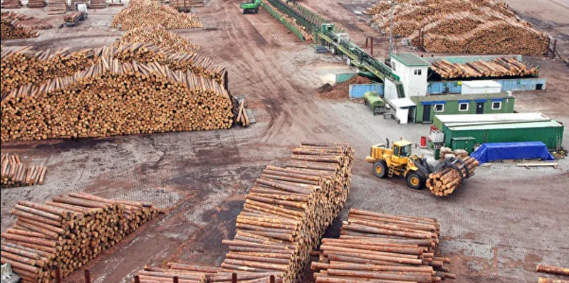 Скандинавский концерн Stora Enso передаст лесопильные предприятия в России под местное управление