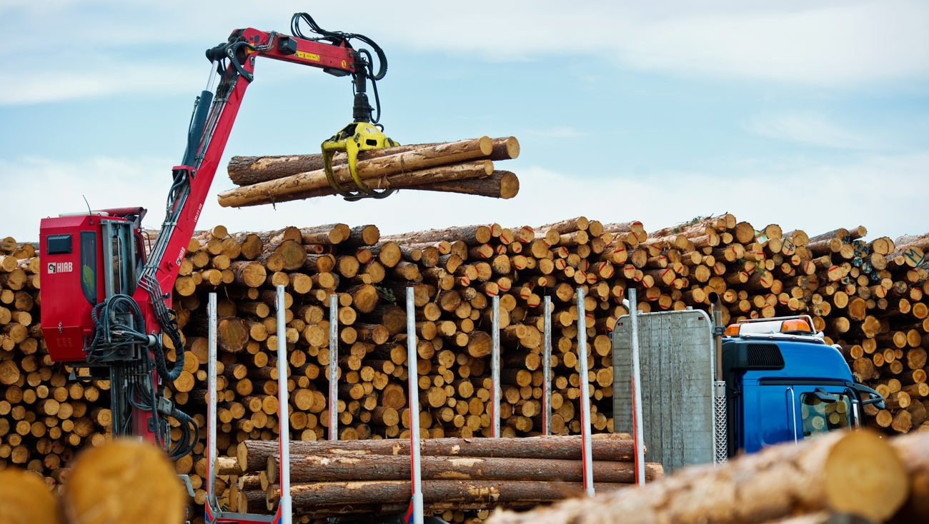 Экспорт лесной продукции РФ значительно снизился по итогам прошлого года 
