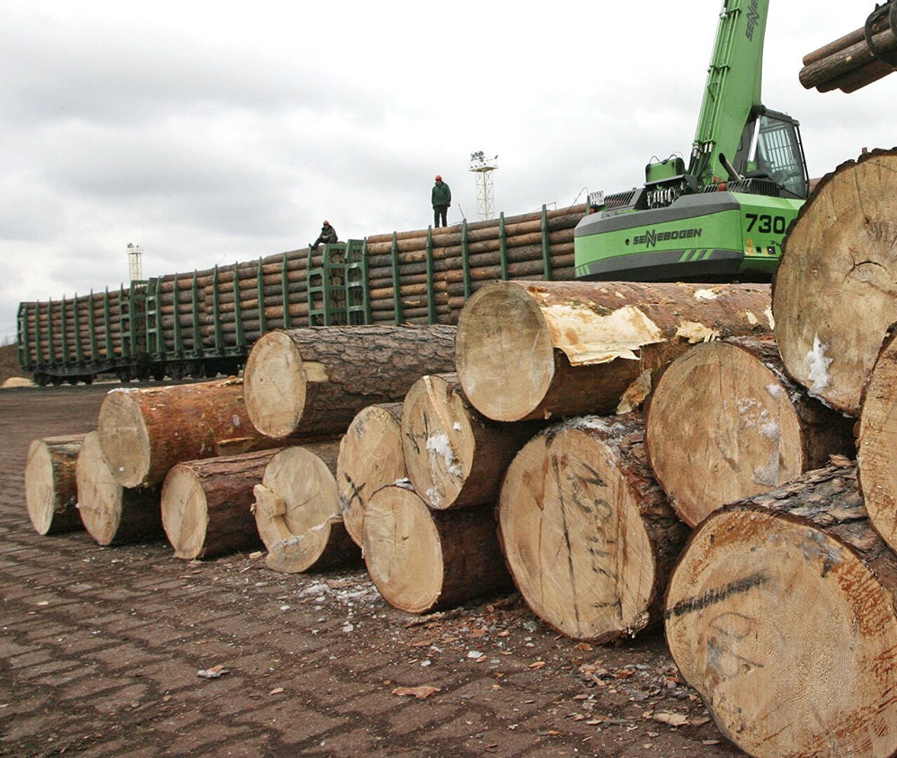 США вошли в тройку основных поставщиков древесины в ЕС