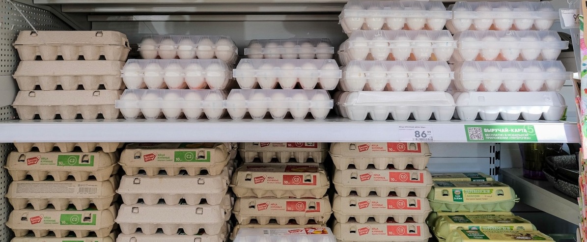 Пластиковая или бумажная: какая упаковка для яиц экологичнее