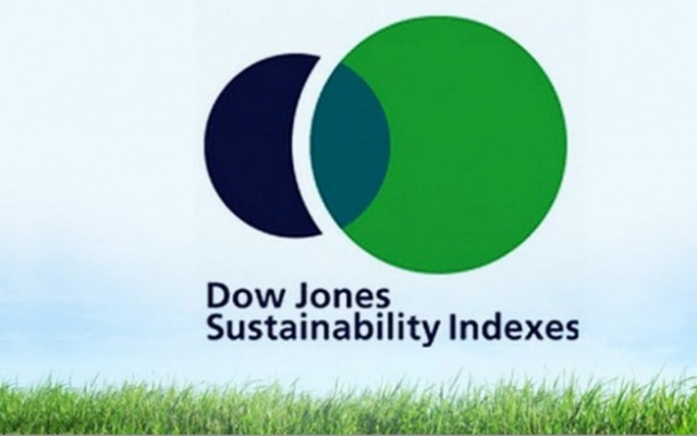 В индексе устойчивости Dow Jones представителем ЛПК стала лишь одна компания 