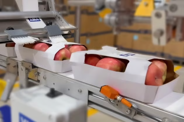 Компания Visy запускает линейку экологичной упаковки Enviropunnet™ для свежих продуктов без пластика