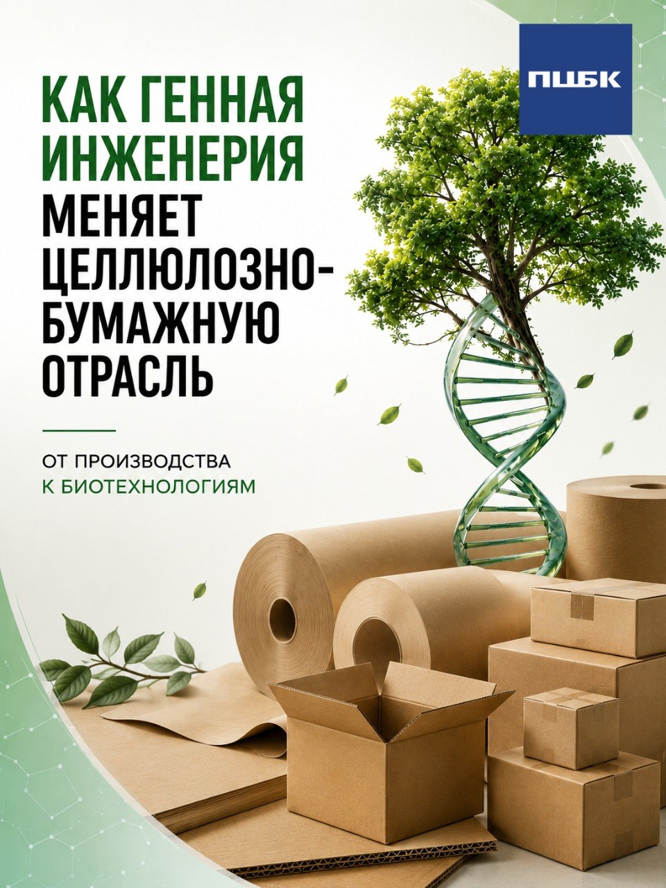 Оптимизация до завода: как генная инженерия меняет целлюлозно-бумажную отрасль