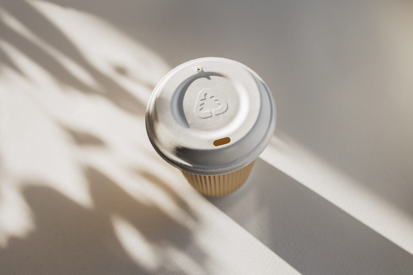 HZ Green Pulp запустила первое в Азии коммерческое производство экопосуды по технологии сухого формования