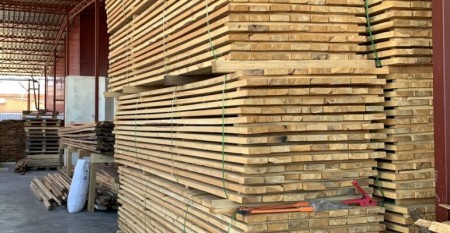 В Забайкальском крае запустят линию по переработке низкотоварной древесины в сырье для бумаги