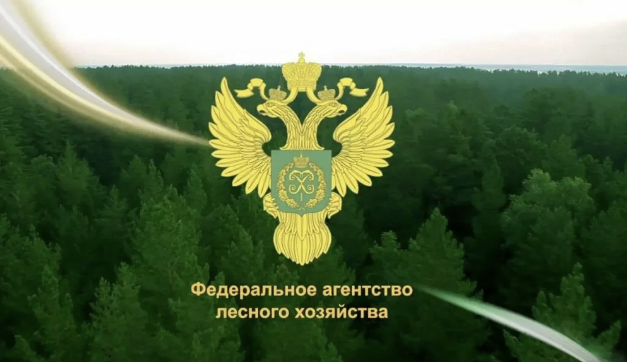 Сбор данных о лесах по данным Рослесхоз в 13 субъектах РФ завершится в конце 2022 года 