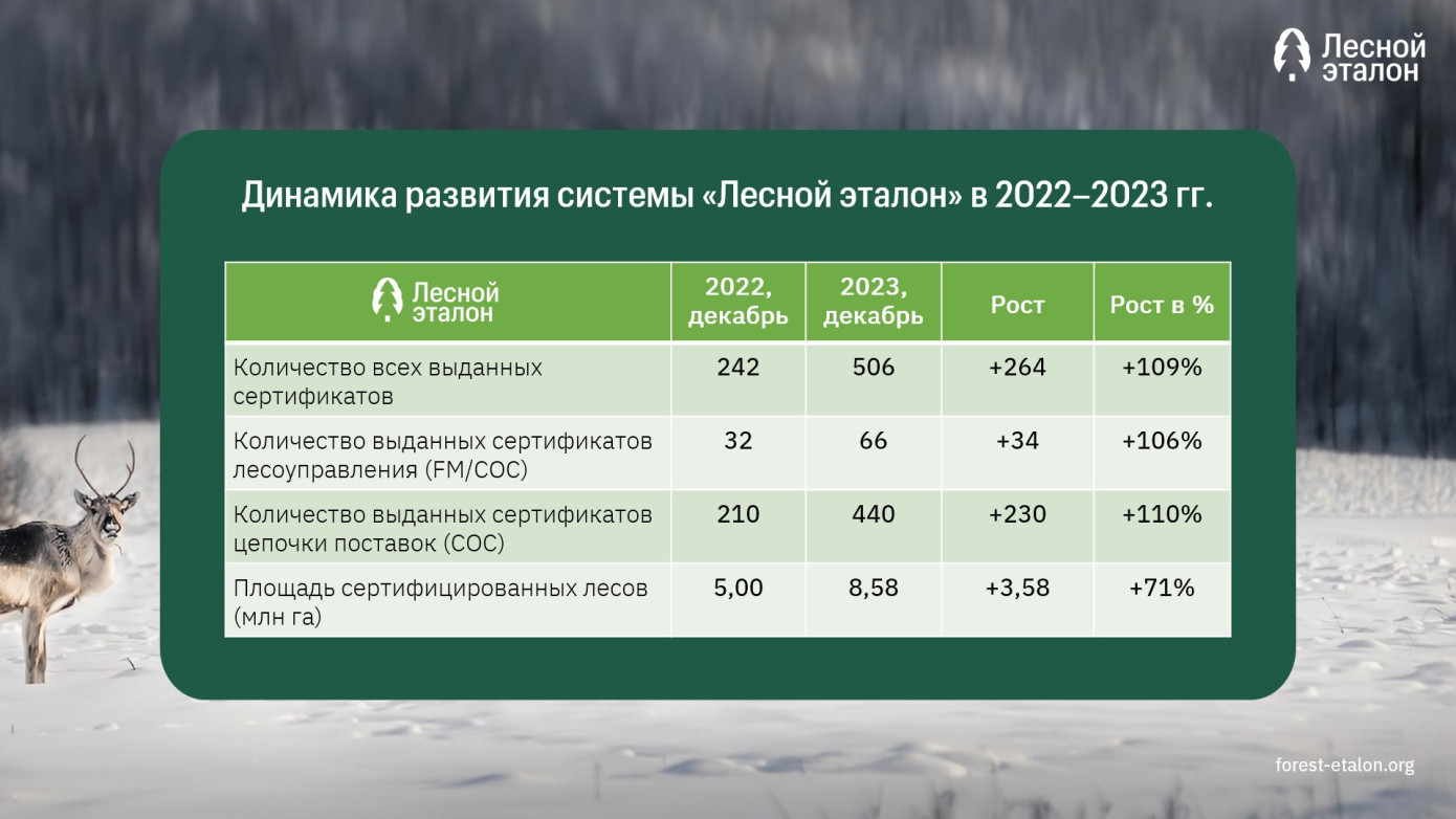Итоги 2023 года для сертификации «Лесной эталон»