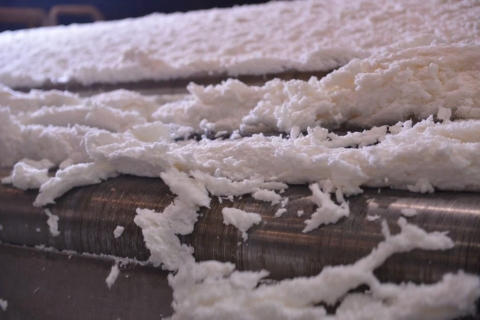 Инвестиции в 4 миллиарда рублей обеспечат рынок гигиеническим сырьем из Коми