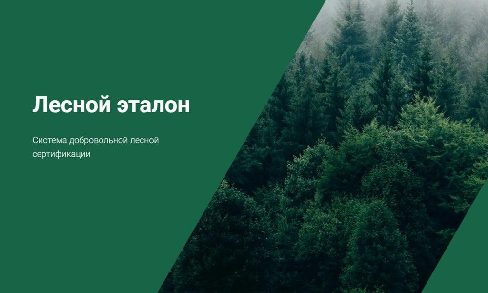 Систему экосертификации «Лесной эталон» зарегистрировали в Росстандарте