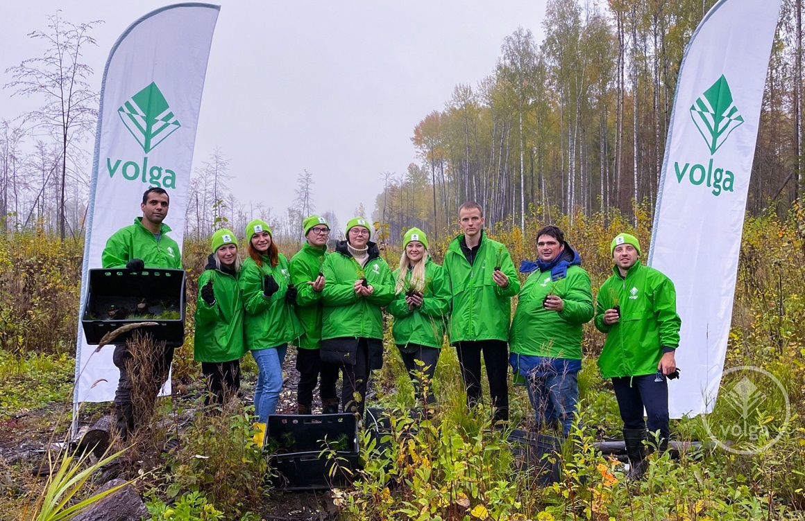 АО «Волга» реализует программу по лесовосстановлению