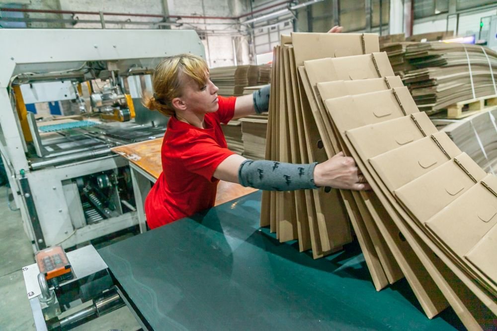 Нацпроект «Производительность труда» помогает бумажным фабрикам увеличивать выпуск продукции