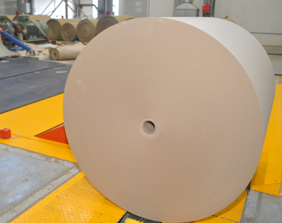 Кузбасский СКАРАБЕЙ усовершенствовал антибактериальную бумагу для аграриев