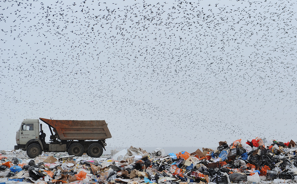 Самой быстрорастущей отраслью 2021 года в России стала мусорная