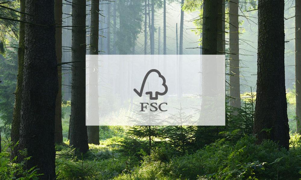 В FSC уточнили нормативы в отношении держателей сертификатов из России и Беларуси