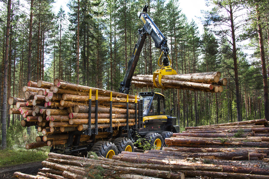 Правительство США окажет поддержку лесной отрасли 
