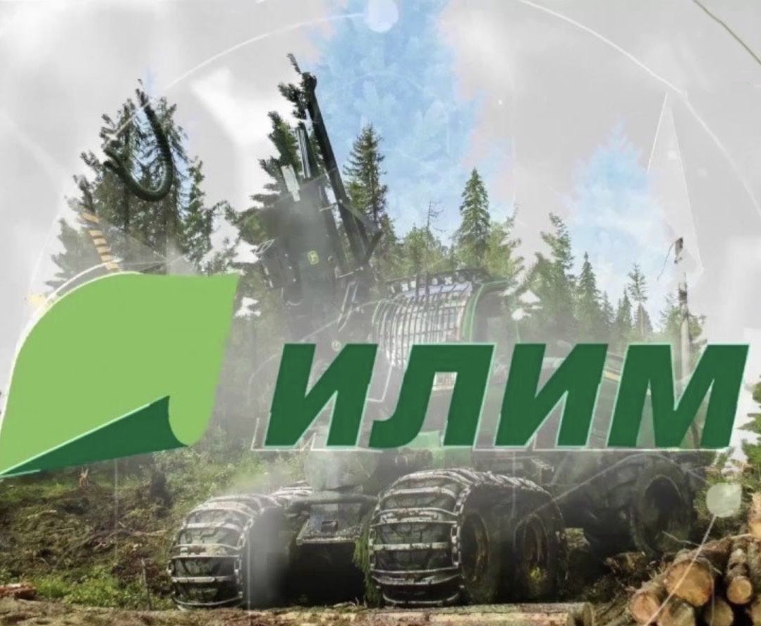 Группа «Илим» проведет лесовосстановление на сумму более 700 млн рублей