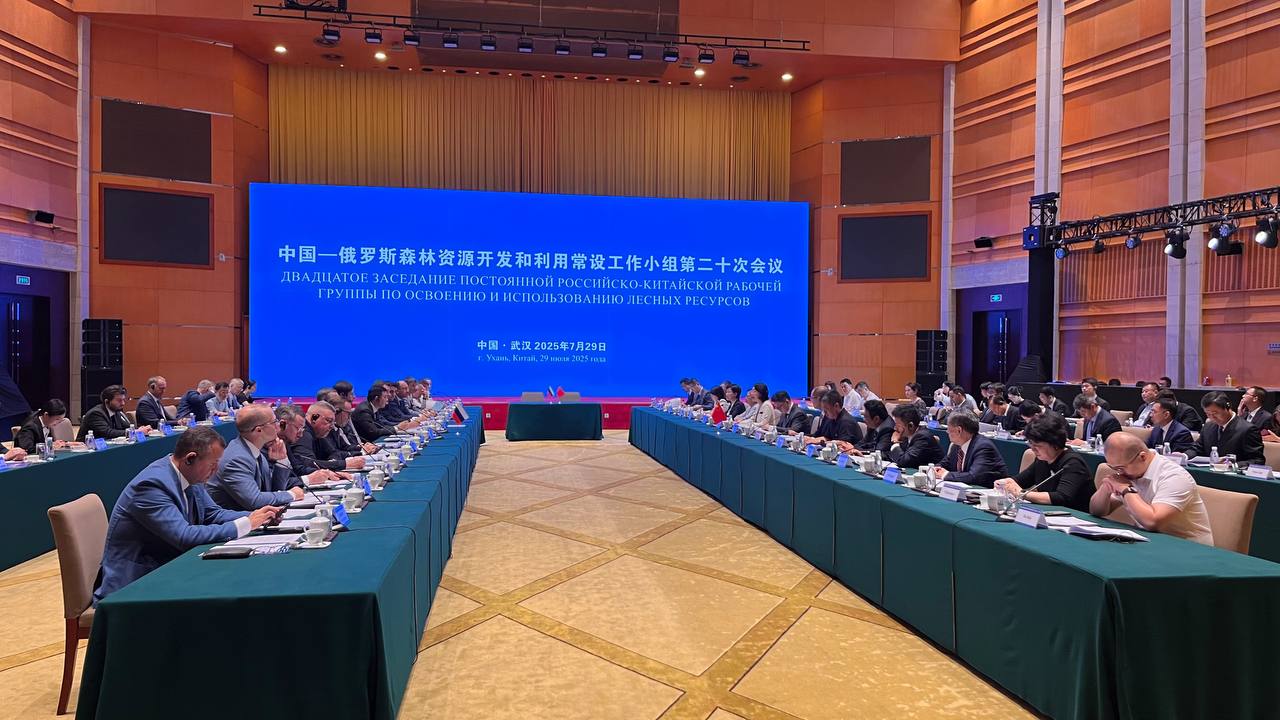 Лига переработчиков макулатуры приняла участие в заседании Российско-Китайской рабочей группы по лесным ресурсам