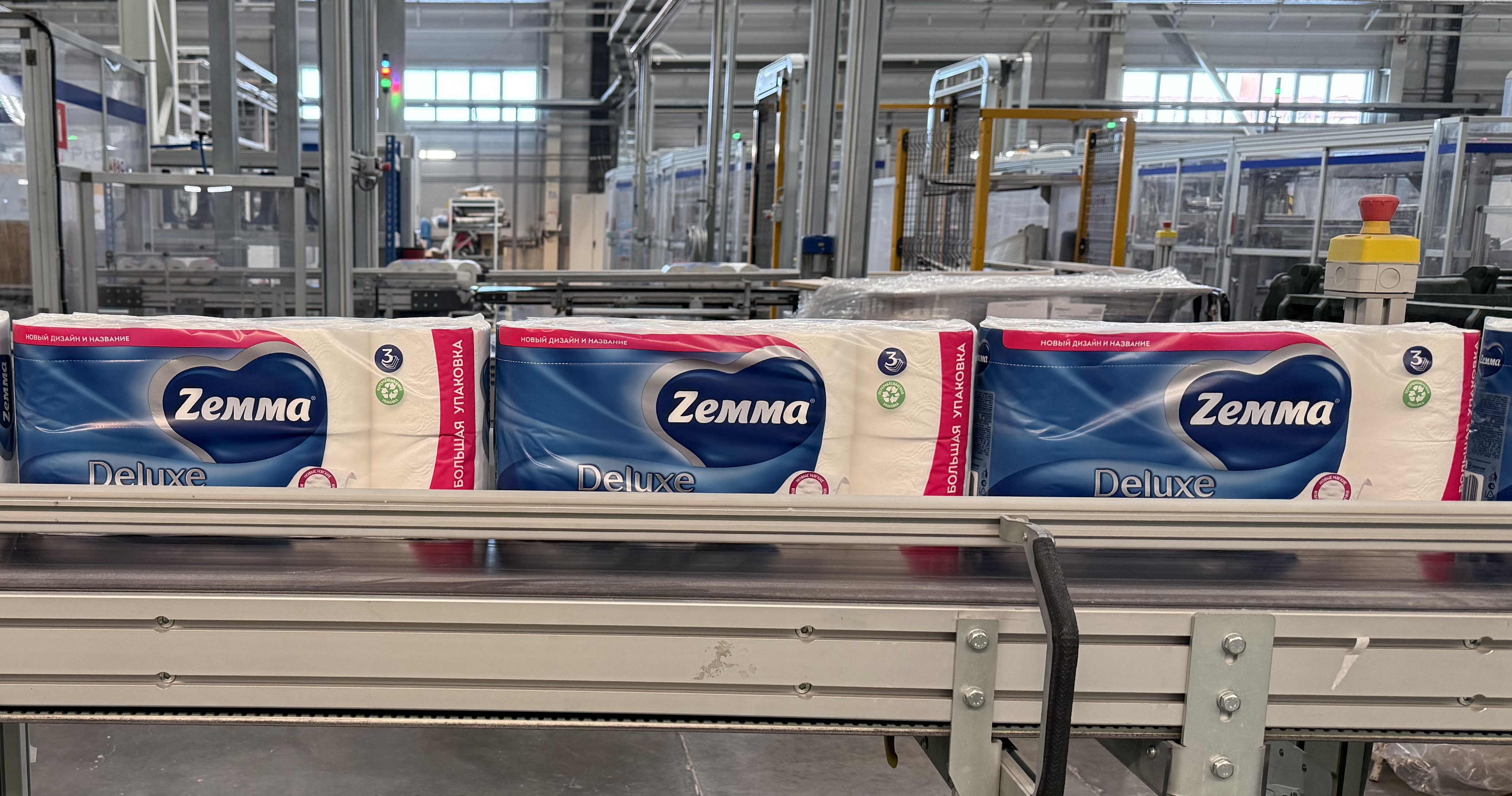 Zewa меняет название на Zemma и открывает новый этап для бренда компании ЭвоКом