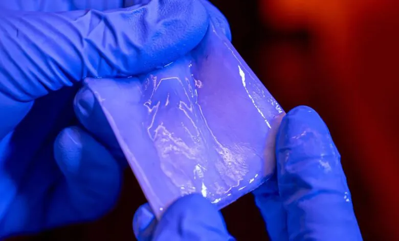 Бактериальная целлюлоза сможет заменить пластик 