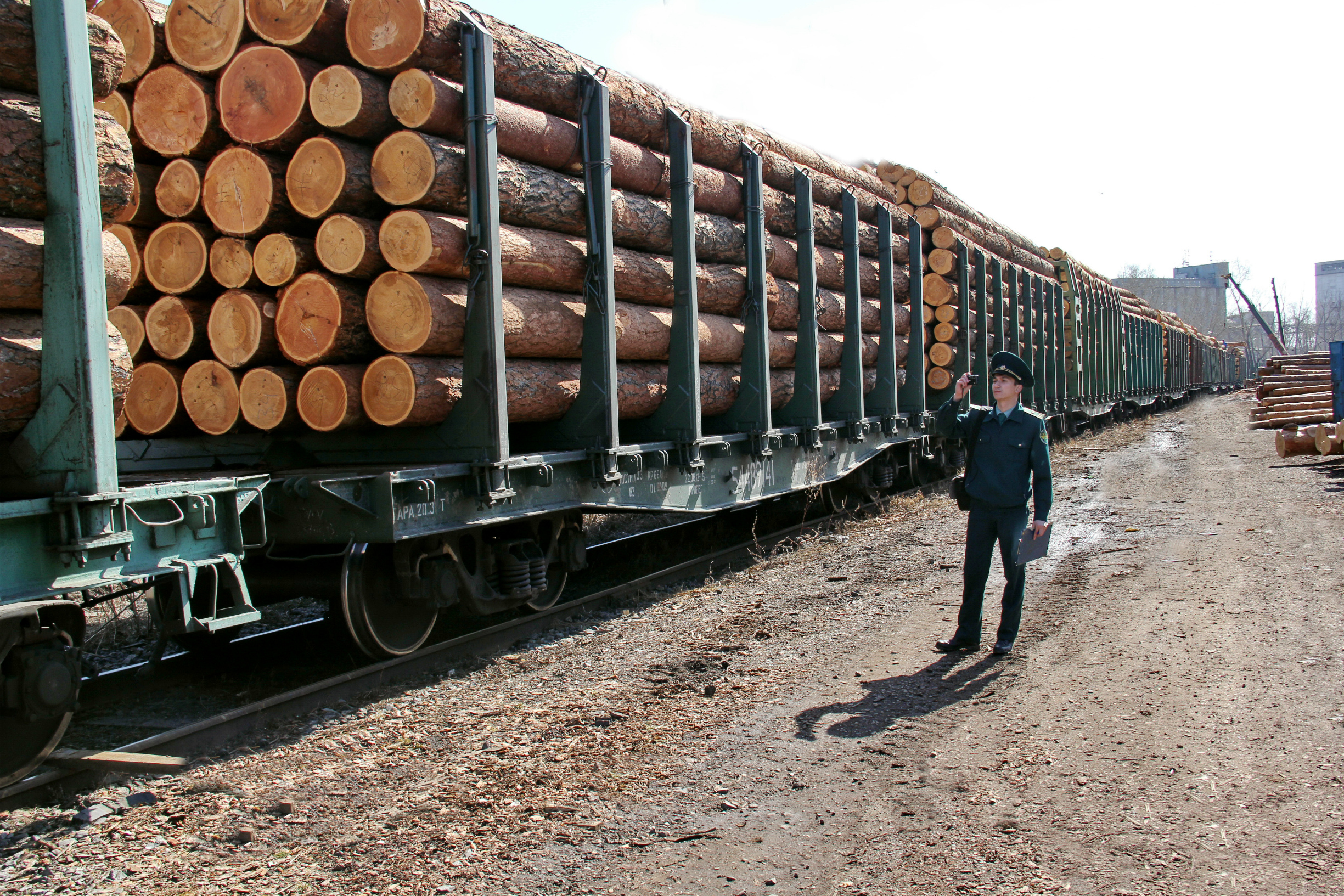 Возможность экспорта российского леса в Китай и Монголию продлили на 2 года