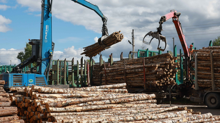 Российский лес: кризис в трех актах