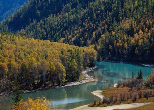 Цены на целлюлозу в Китае снова растут