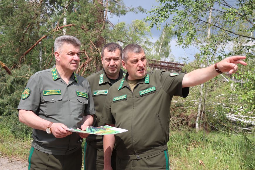 В Беларуси для переработки низкотоварной древесины построят новый целлюлозно-картонный комбинат 