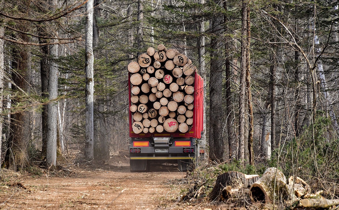 Президент РФ считает необходимым придать импульс развитию лесопромышленного комплекса