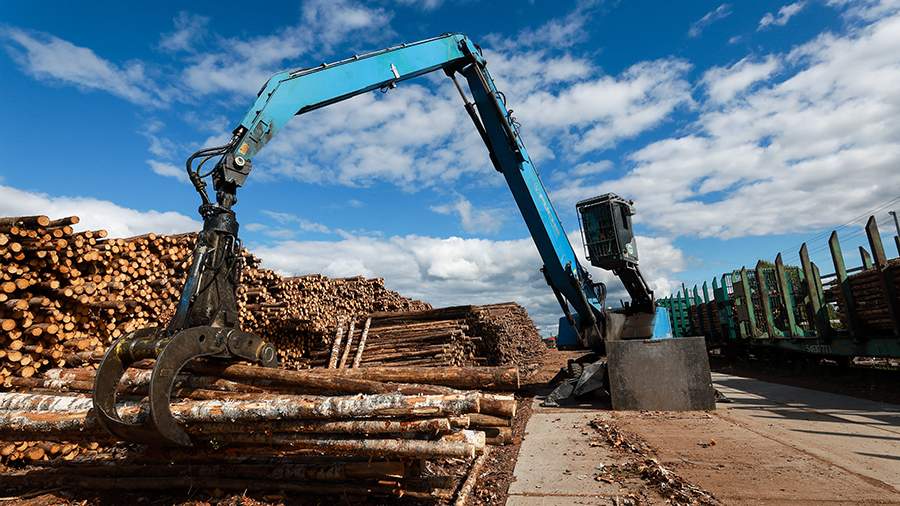 Проблемы лесопрома усугубляются: Минпромторг признал спад, отрасль ждет кризиса