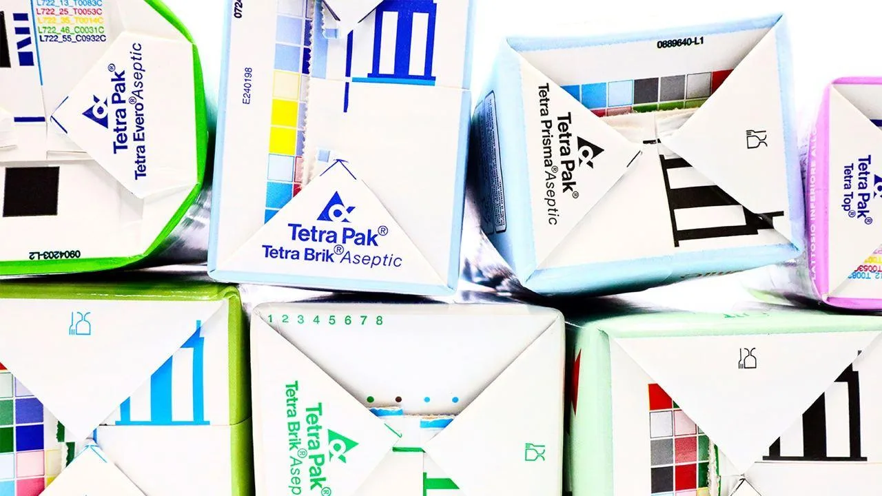 Tetra Pak и фабрика Uniboard Paper Mill открывают первый в Египте завод по переработке использованной картонной упаковки