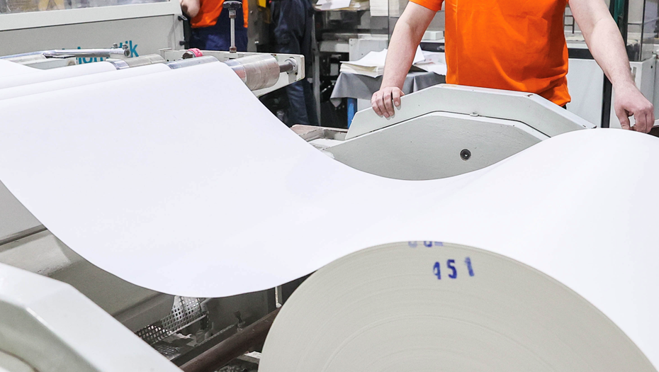 Лесопромышленный холдинг «Тайга Групп» приобрел ГК «Карелия Палп»