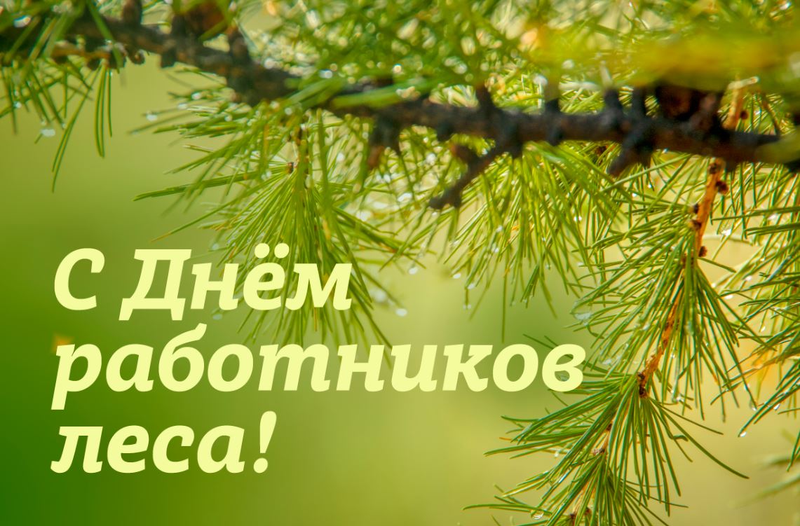Президент РФ поздравил работников лесного комплекса с профессиональным праздником 