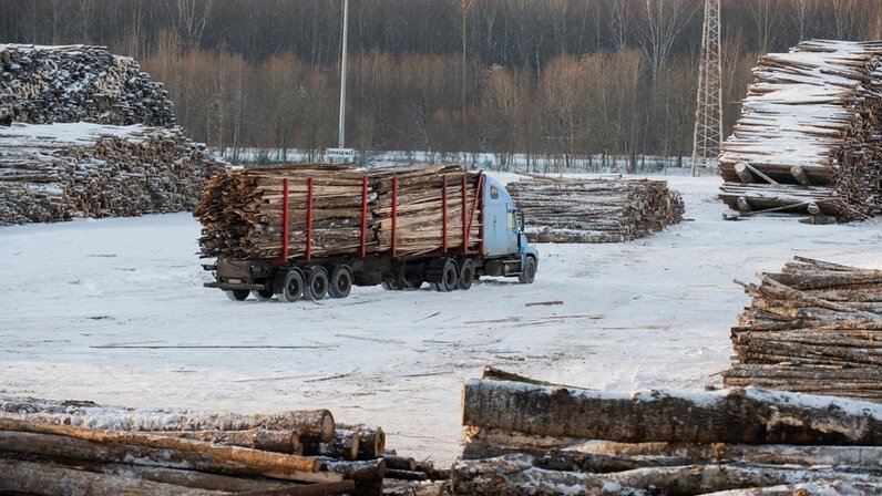 В Финляндии заявили о возможном дефиците древесины