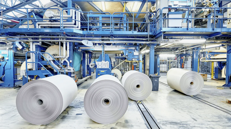 Гуандун стал пионером в борьбе с «инволюцией» в бумажной промышленности Китая