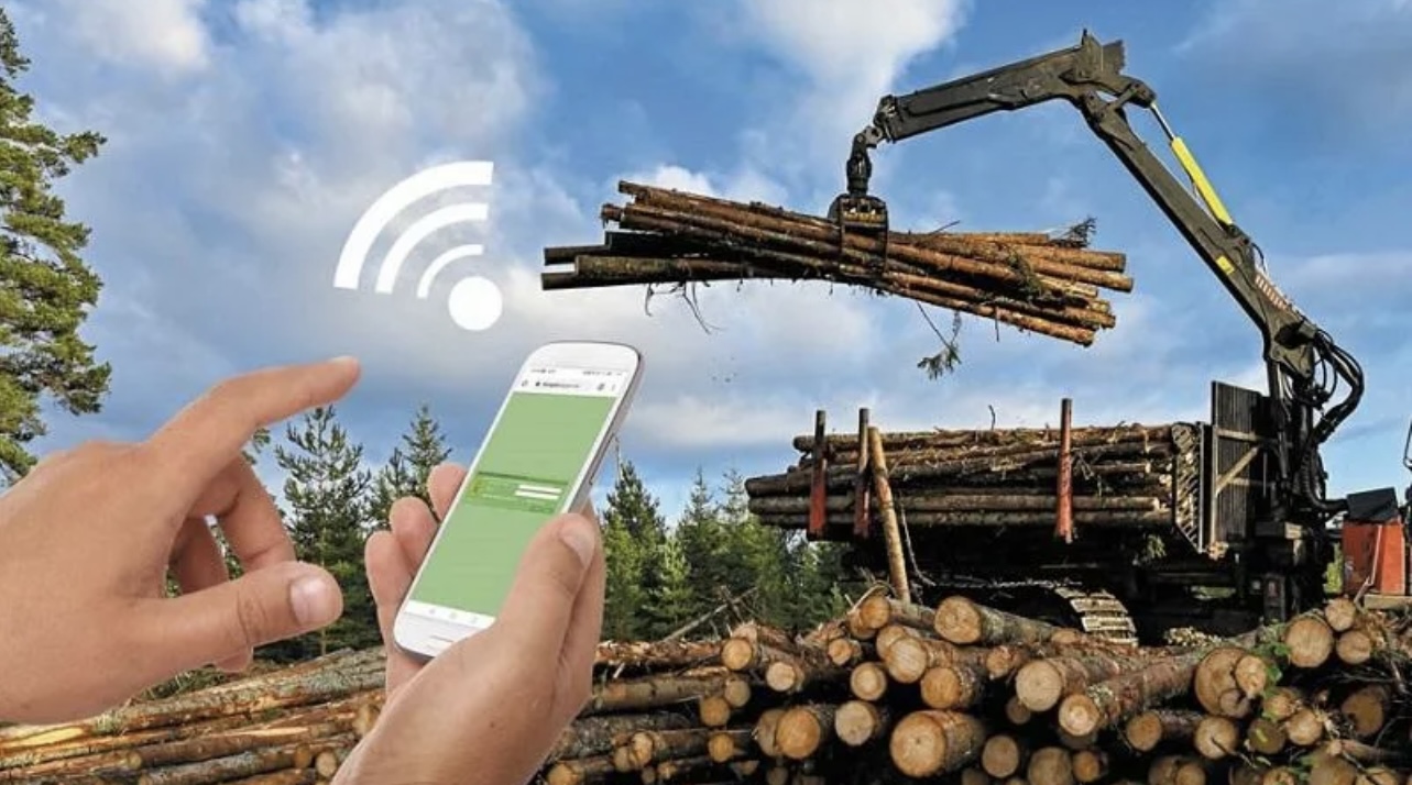 «Илим» реализует проект по цифровизации учета лесосырья