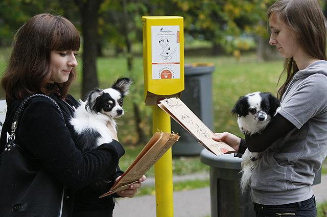 Владельцев собак призвали применять бумажные пакеты для отходов жизнедеятельности питомцев 