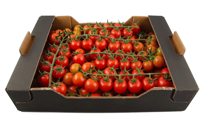 Фактора роста рынка упаковки из гофрированного картона