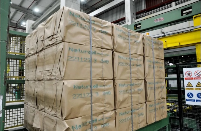 Компания Ence обеспечила себя заказами целлюлозы на 1 млн тонн на текущий год 