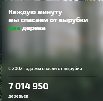 На счету «Кузбасского СКАРАБЕЯ» 7 миллионов спасенных деревьев