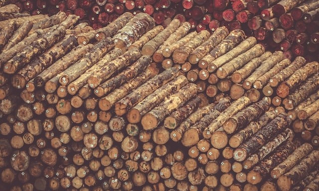 Лесозаготовка в РФ снизилась на 7-10%