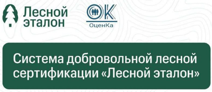 ПЦБК перешла на национальный сертификат «Лесной эталон» для подтверждения использования вторсырья