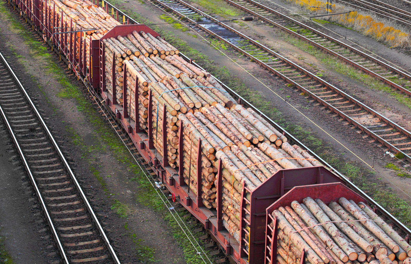 Железнодорожные перевозки древесины в России сократились на 9,1% в 2023 году