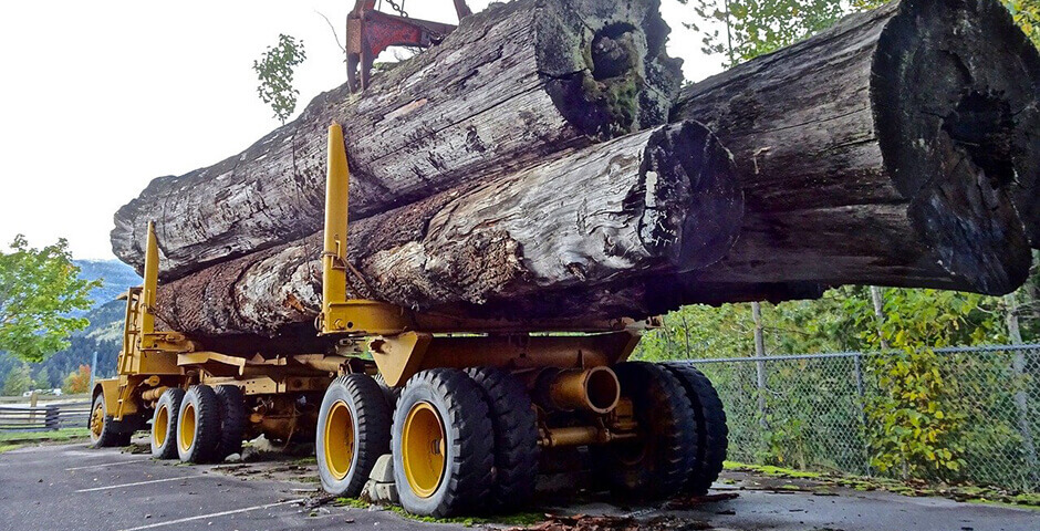 Бизнес-объединения предложили внести лесную отрасль в список пострадавших из-за санкций 
