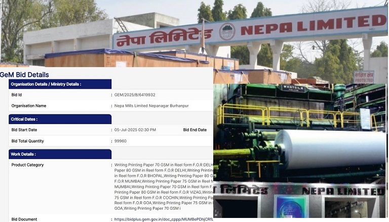 Кризисная Nepa Mill предлагает полный аутсорсинг производства и продаж