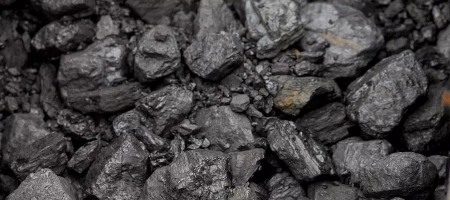 В Красноярском крае была произведена первая партия «зелёного» угля из отходов деревообработки