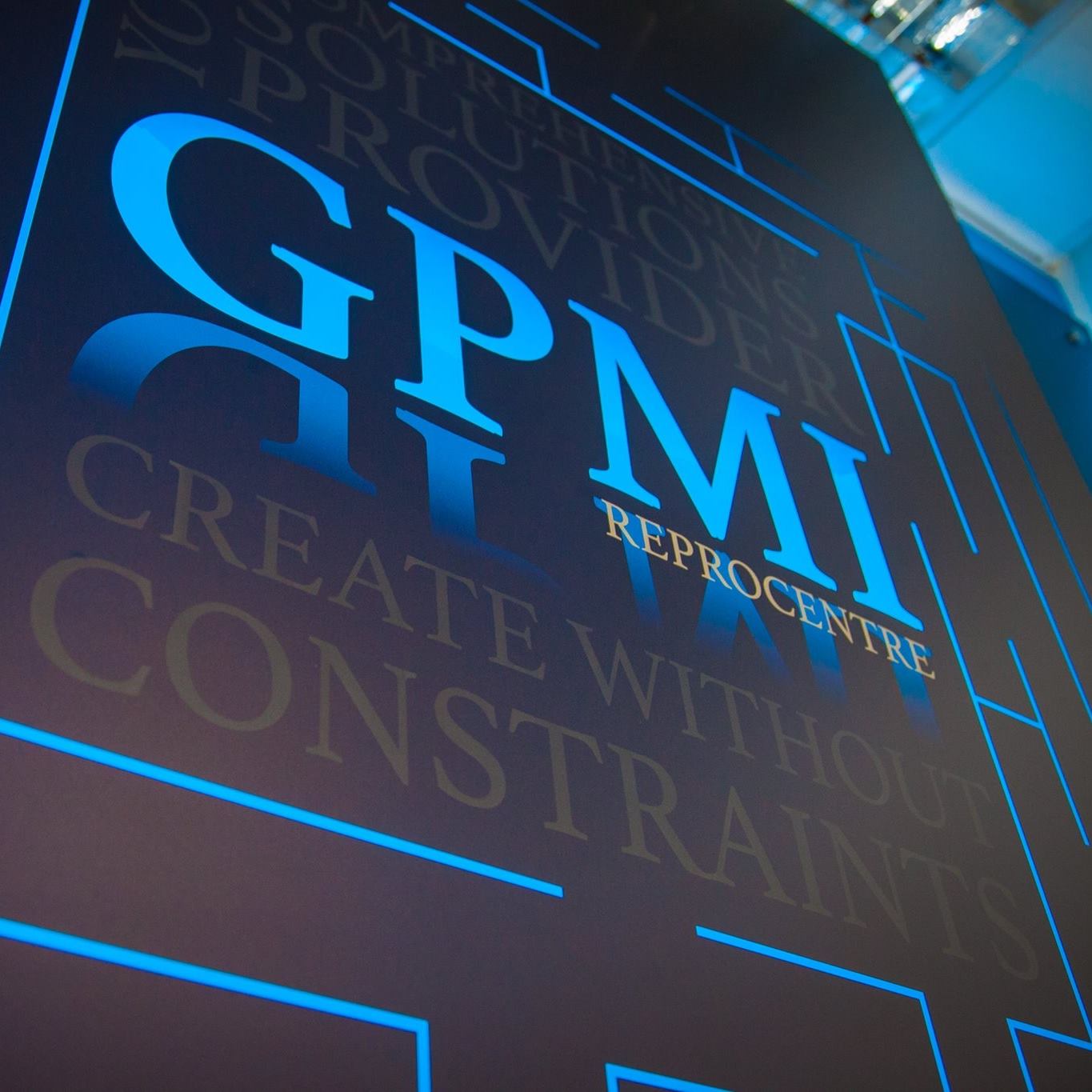 Premier Paper Group теперь владеет компанией GPMI