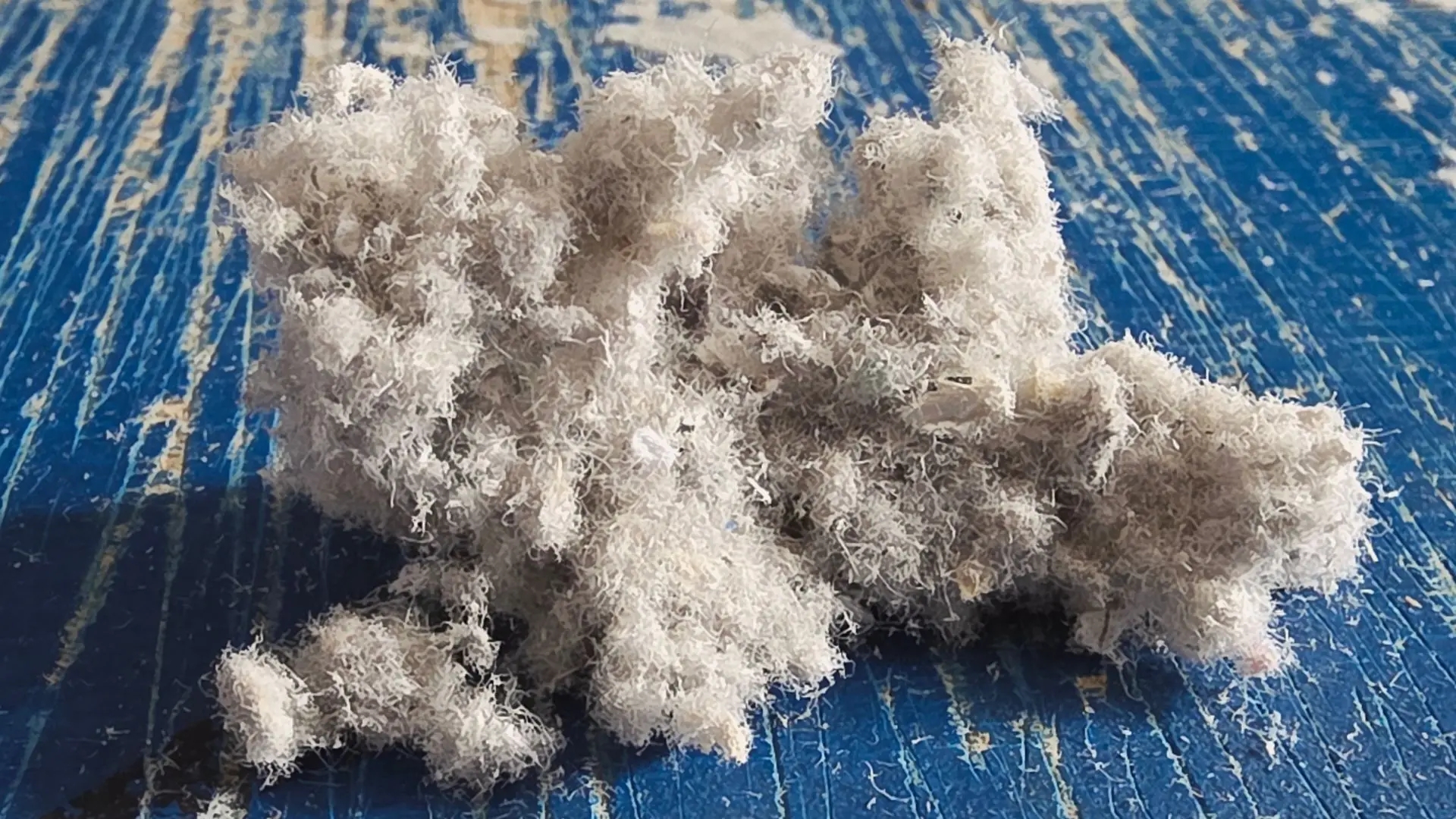 На Сахалине тонну старых книг превратили в «умный» утеплитель