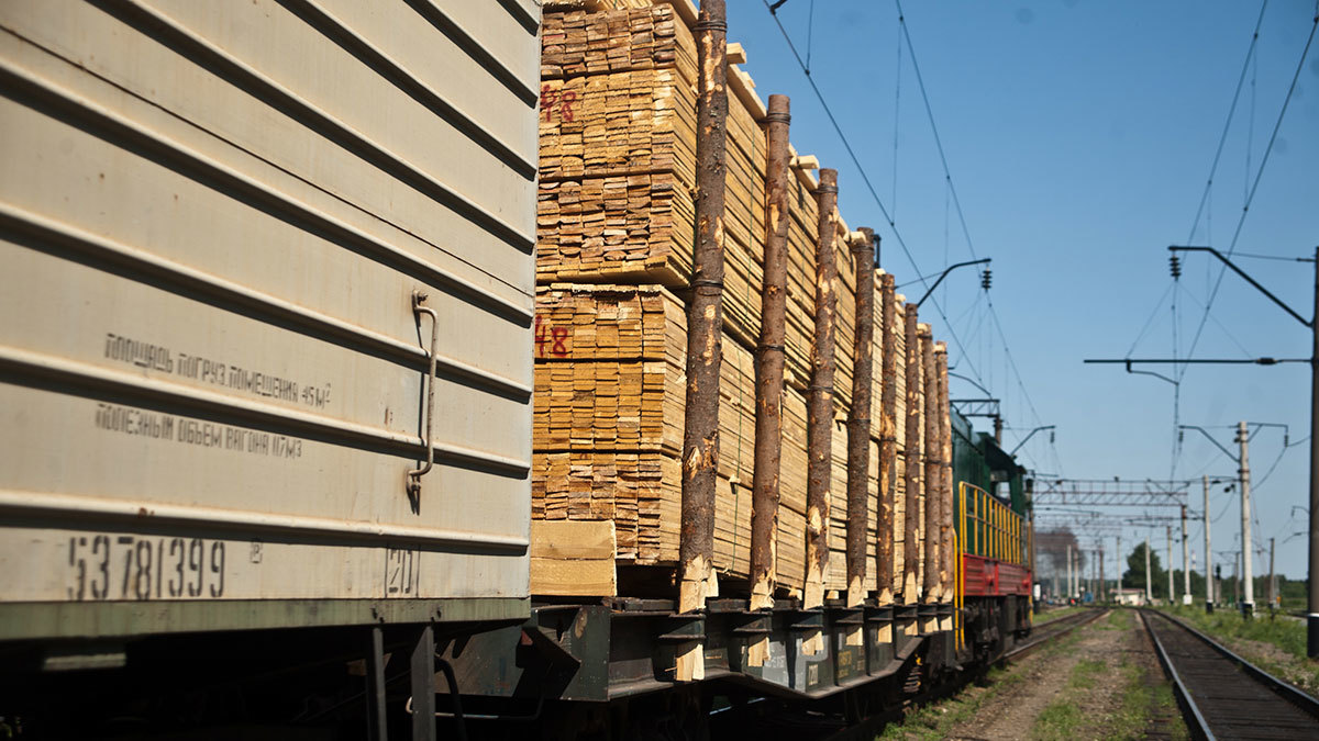 Лесопромышленникам расширили субсидии при перевозке в порты Северо-Запада
