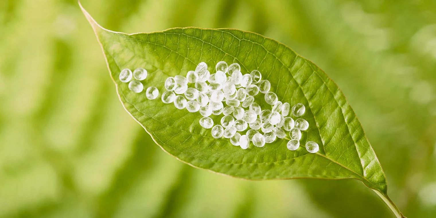 Возможности и механизмы расширения использования продукции из растительных полимеров 